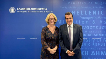 Συνάντηση Πλεύρη με την πρέσβη της Αυστρίας, Γκέρντα Βογκλ