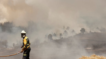Στην Ισπανία καίνε τα δάση για χαβαλέ