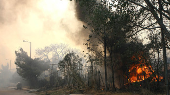 Συναγερμός στην Τουρκία: μεγάλη φωτιά στο Μπέλεκ - εκκενώνονται ξενοδοχεία (video)