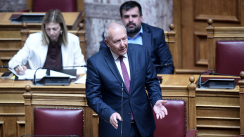 Γκίκας: Η Ελλάδα εφαρμόζει αυστηρή αλλά δίκαιη μεταναστευτική πολιτική