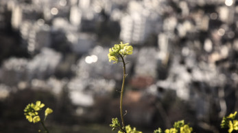 «Εξοικονομώ-Ανακαινίζω για Νέους»: ανοίγει η πλατφόρμα για τους δικαιούχους του προγράμματος
