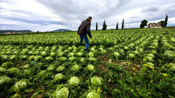ΟΠΕΚΕΠΕ: σερβιτόρος, οικοδόμος και dj οι «εγκέφαλοι» στο κύκλωμα των παράνομων επιδοτήσεων