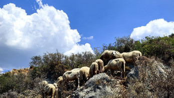 Πηγές ΝΔ για ΟΠΕΚΕΠΕ: Μονόδρομος η τάξη στις επιδοτήσεις - Νέο διαφανές σύστημα