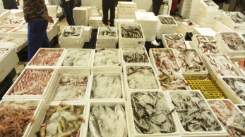 Αυξημένη κίνηση στην ιχθυόσκαλα Κερατσινίου - Πώς διαμορφώνονται οι τιμές για τη νηστεία