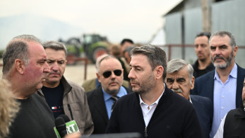 Και από Δευτέρα σε… εκλογική ετοιμότητα ο Ανδρουλάκης: μιζέρια και καταστροφολογία στον «πράσινο» ΣΥΡΙΖΑ