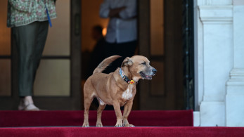«Ψήφος εμπιστοσύνης» από τον υπουργό Εσωτερικών των ΗΠΑ στον... γλυκύτατο Πίνατ (photos)