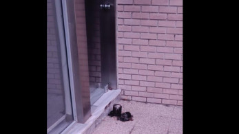 Γρηγόρης Δημητριάδης για εκρηκτικό μηχανισμό στην Ομάδα Αλήθειας: Δεν μας φιμώνει τίποτα