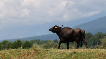 Κυβερνητικές πηγές: Νέο σχέδιο δράσης ΟΠΕΚΕΠΕ για ταχύτερη κατανομή κοινοτικών πόρων