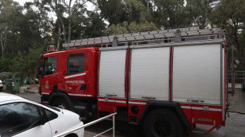 Φιλιππιάδα: καρέ καρέ η διάσωση αλόγου από καταδρομείς της ΕΜΑΚ (video)