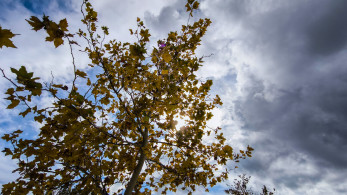 Νέο κύμα κακοκαιρίας: έρχονται ισχυρές βροχές και καταιγίδες