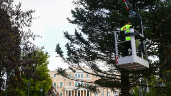 Αντίστροφη μέτρηση για τη φωταγώγηση του χριστουγεννιάτικου δέντρου στο Σύνταγμα