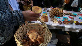 Θεσσαλονίκη: στο ΑΧΕΠΑ νοσηλεύεται με οξεία ηπατική ανεπάρκεια ζευγάρι που έφαγε μανιτάρια