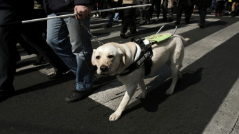 Καλή η παγκόσμια ημέρα, καλύτερη η κάθε μέρα