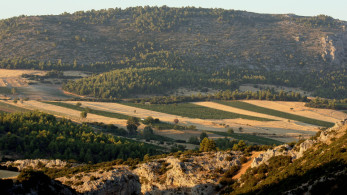 Τα παράσιτα και τα λαμόγια δεν έχουν ιδεολογία
