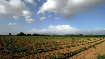 Αχιλλέας Γραβάνης: Αναγκαία η αναδιάρθρωση των καλλιεργειών - Οι αγρότες να συζητούν (video)