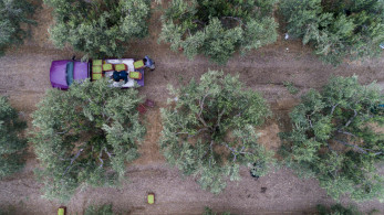ΟΠΕΚΕΠΕ: νέα πληρωμή 25,3 εκατ. ευρώ σε 43.100 δικαιούχους