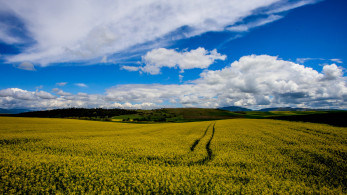 ΥΠΑΑΤ: Άνοιξαν οι πίνακες δικαιούχων εξισωτικής 2025 - Οδηγός για πληρωμές και ενστάσεις