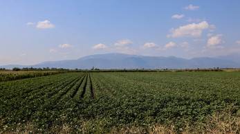 ΟΠΕΚΕΠΕ: δεσμεύονται οι λογαριασμοί 12 αγροτών για παράνομες επιδοτήσεις