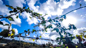 Ανατροπή στο χειμερινό σκηνικό με απότομη άνοδο θερμοκρασίας και νοτιάδες έως 8 μποφόρ