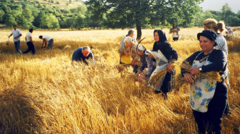 ΕΛΓΑ: παράταση εισφοράς και επιτάχυνση των αποζημιώσεων με τροπολογία του ΥΠΑΑΤ
