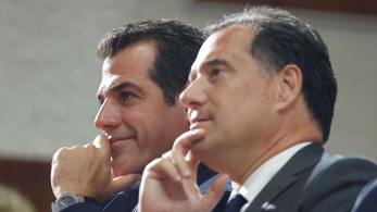 Κριτική Γεωργιάδη - Πλεύρη σε Διεθνή Αμνηστία και Δικαστήριο της Χάγης για το μεταναστευτικό