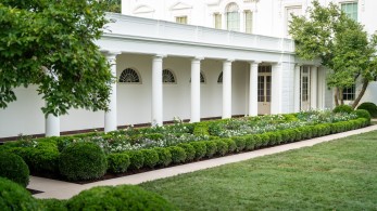 ΗΠΑ: Μαρία Αντουανέτα η Μελάνια – Έντονες επικρίσεις για τον επανασχεδιασμό του Κήπου των Ρόδων