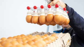 Επιδότηση μέχρι 55% σε επενδύσεις πρωτογενούς τομέα άνω των 500.000 ευρώ