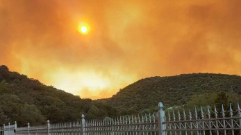 Παραμένει σε εξέλιξη η πυρκαγιά στη Μάνη – Ισχυρές πυροσβεστικές δυνάμεις στο σημείο