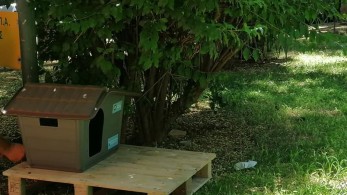 Δήμος Αθηναίων: Σπιτάκια για γάτες σε γειτονιές της πόλης (ΦΩΤΟ)