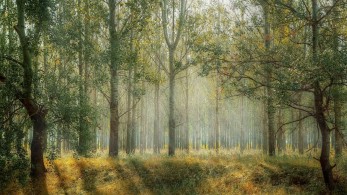 Η πανδημία μείωσε το «οικολογικό αποτύπωμα» της ανθρωπότητας – Τι σημαίνει αυτό