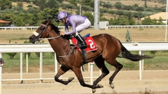 Markopoulo Park: Τζακ ποτ στο ΣΚΟΡ 6 και τέσσερις νικητές στο ΣΚΟΡ 4