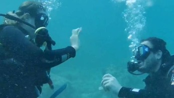 Υποβρύχια… πρόταση γάμου στην Αλόννησο (vid)