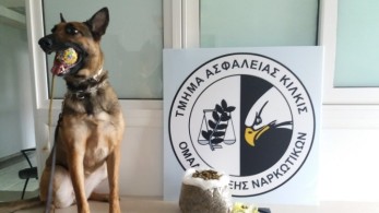 Μύρισε την κάνναβη η Minnie!