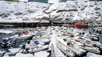 Κοινό ανακοινωθέν επτά Ευρωπαίων ηγετών για τη Γροιλανδία: Ανήκει στον λαό της