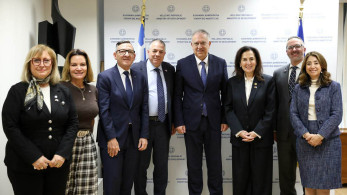 Τάκης Θεοδωρικάκος: «Πολύτιμο κεφάλαιο για την Ελλάδα οι βουλευτές της Διασποράς»