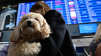 Μπλακ άουτ στον FIR Αθηνών: Γιατί έμειναν «τυφλές» οι επικοινωνίες των ελληνικών αεροδρομίων