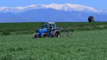 Παράνομες επιδοτήσεις ΟΠΕΚΕΠΕ: Στο στόχαστρο εγκληματικές οργανώσεις σε Κρήτη, Κοζάνη, Τρίκαλα
