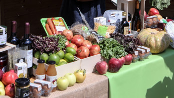 Εμπορική συμφωνία Ε.Ε.-Mercosur: τα δασμολογικά οφέλη για βασικά ελληνικά προϊόντα και οι ρήτρες διασφάλισης