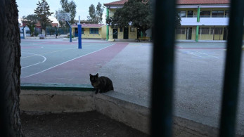 Σοκ σε Γυμνάσιο των Σερρών: διευθύντρια κατηγορείται ότι φίμωσε 13χρονο μαθητή - Οδηγείται στον εισαγγελέα