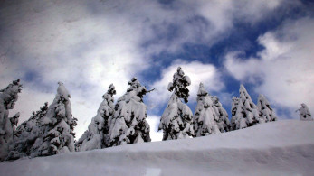Συναγερμός στον Παρνασσό: Δύο ορειβάτες αποπροσανατολίστηκαν - Επιχείρηση διάσωσης σε εξέλιξη