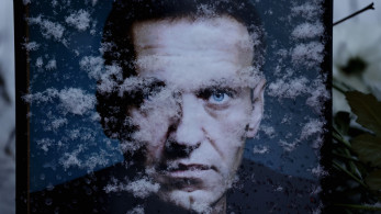 Αποκάλυψη: Με τοξίνη βατράχου δολοφονήθηκε ο Αλεξέι Ναβάλνι - Βολές κατά Κρεμλίνου