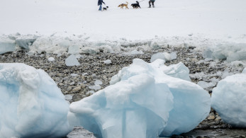 Γροιλανδία: Αντίσταση στην πώληση και διπλωματικό σκάκι με ΗΠΑ και ΕΕ