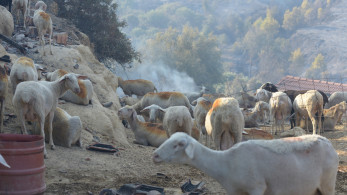 Αγροτικό νομοσχέδιο με άρωμα σύμπλευσης: ΠΑΣΟΚ, ΣΥΡΙΖΑ και Νέα Αριστερά στον ίδιο άξονα