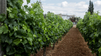 Σφοδρή επίθεση Σπυρόπουλου για τα οινοποιεία της Μαντίνειας - «Ήμουν μόνος μου και απέναντί μου όλοι σας»