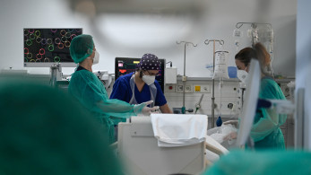 ΠΟΥ - Ιός Νίπα: πώς μεταδίδεται και ποια είναι τα πρώτα συμπτώματα