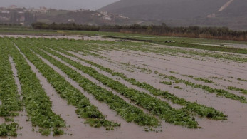 Έβρος: «πνίγεται» το Σουφλί και το Διδυμότειχο από την κακοκαιρία - Κλειστός ο δρόμος για Δαδιά (video)