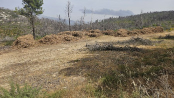 Καθαρισμός οικοπέδων: νέο πλαίσιο με το σχέδιο νόμου «Ενεργή Μάχη» - Οι προθεσμίες, οι έλεγχοι και τα πρόστιμα