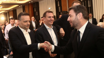 ΠΑΣΟΚ: οι… δελφίνοι πετάνε τον «μουντζούρη» και σηκώνουν τον «πήχη» για τον Ανδρουλάκη