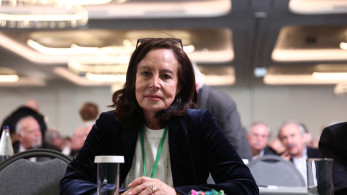 Άννα Διαμαντοπούλου: τινάζει στον αέρα τη διεύρυνση Ανδρουλάκη