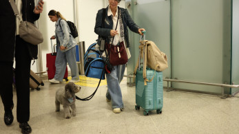 Στην Αθήνα οι Έλληνες με τα κατοικίδιά τους από το Άμπου Ντάμπι